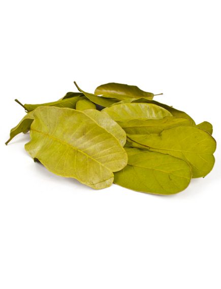 листья мандиока большие (зелёный), Цвет: зелёный