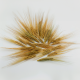 СПШ01 Соцветие пшеницы 50г, Цвет: бежевый